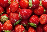 যত উপকারিতা স্ট্রবেরি খাওয়ার
