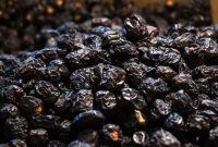 আজওয়া খেজুর খেলে কী হয়? জানুন হাদিসের বর্ণনা