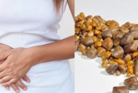 পিত্তথলির-পাথর-হওয়ার-অন্যতম-৫-কারণ-জেনে-নিন