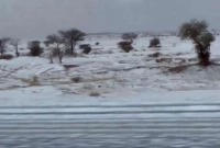 এবার তুষারে ঢাকা পড়ল সৌদির মরুভূমি!