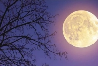 হঠাৎ চাঁদ উধাও হয়ে গেলে যা ঘটবে পৃথিবীতে!