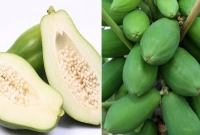 জানেন কী হয় কাঁচা পেঁপে খেলে?