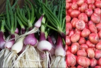 জানেন কী পেঁয়াজ সবজি নাকি মশলা?