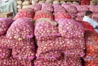  পেঁয়াজ ঘরেই সংরক্ষণ করা যাবে ৮ মাস, গবেষণায় সফল