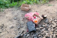 রেললাইনে কেক কেটে মেয়েকে নিয়ে ট্রেনের নিচে ঝাপ দিলেন মা!