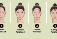 এই ছবি বলে দেবে আপনি বুদ্ধিমান নাকি বোকা