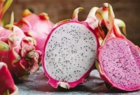 কেন আমাদের ড্রাগন ফল খাওয়া দরকার জানেন?