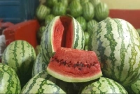 যে উপায়ে তরমুজ কিনলে আর ঠকবেন না আপনি