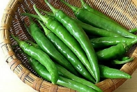 কাঁচা মরিচ দীর্ঘ দিন ভালো রাখার উপায়