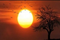 সূর্যের দেখা মিলবে না আগামী দুই মাস!