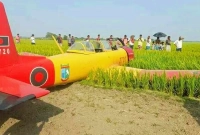 বিমান নামলো নড়াইলে বিলে!