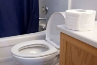 কমোড ব্যবহারের সঠিক নিয়ম জানুন 