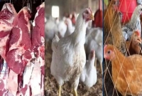 সুখবর-গরুর-মাংস-ও-ব্রয়লার-মুরগির-বাজারে