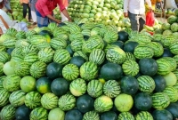 তরমুজে-তরমুজে-ছেয়ে-গেছে-রাজধানীর-বাজার