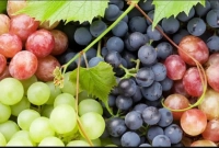 কোন আঙ্গুর বেশি উপকারী, কালো নাকি সবুজ?