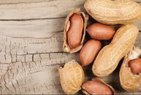 বাদাম খাওয়ার যত উপকারিতা