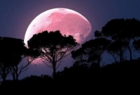 এবার এক বিরল মহাজাগতিক ঘটনার সাক্ষী হতে যাচ্ছে বিশ্ব, চাঁদের রঙ হবে গোলাপী