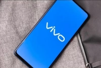 চাকরি দেবে ভিভো বাংলাদেশ, শিক্ষাগত যোগ্যতা স্নাতক