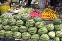 অর্ধেকেরও-কম-দামে-বিক্রি-হচ্ছে-তরমুজ