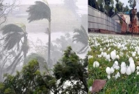 হঠাৎ-বয়ে-যাওয়া-কালবৈশাখী-ঝড়-ও-শিলাবৃষ্টিতে-ব্যাপক-ক্ষতি