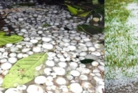 সাবধান-জানেন-কী-হয়-বৃষ্টির-শিলা-খেলে-
