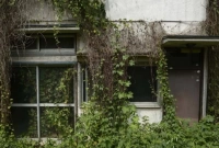 থাকার মানুষ নেই তাই খালি পড়ে আছে ৯০ লাখ বাড়ি!