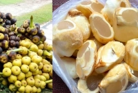 জানেন কী হয় তালের শাঁস খেলে? কোন কোন রোগ সারে?