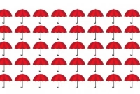 আপনি কতটা জিনিয়াস বলে দেবে এই ছবি!