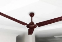 বিদ্যুৎ বিল কি আসলেই কম হয় ফ্যানের গতি কমালে?