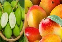 পুষ্টিগুণ বেশি কোন আমে, কাঁচা নাকি পাকা?