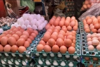 চট্রগ্রামে ডিমের হালি কত হলো জানেন?