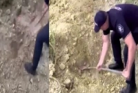 চারদিন পর কবর থেকে বৃদ্ধকে জীবিত উদ্ধার 