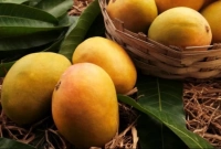 কৃত্রিম নাকি গাছপাকা আম, বুঝার উপায়