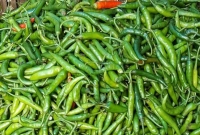 রাজধানীতে-হঠাৎ-কাঁচামরিচের-কেজি-কত-হলো-জানেন-