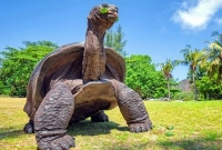 দুটো বিশ্বযুদ্ধই সরাসরি দেখেছে জোনাথন, এখন বয়স ১৯২ বছর