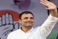 ২০০৯ সালের পর সর্বোচ্চ আসনে এগিয়ে রাহুলের কংগ্রেস!