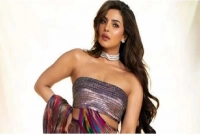  জানেন প্রিয়াঙ্কার এই পোশাকটি তৈরি করতে টানা কত মাস লেগেছিল?