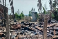 রীতিমতো তাণ্ডব চালিয়ে গ্রামের ৫০ জনকে হত্যা