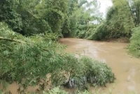 নানি-নাতিকে ভাসিয়ে নিয়ে গেল খালের স্রোত!