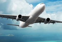 মেজাজ হারিয়ে বিমানকর্মীর কব্জিতে কামড় বসিয়ে দেন তরুণী