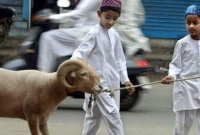 ৭ টি উপায়ে কোরবানির ঈদ হবে বেশি আনন্দময়