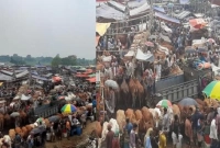 পি'স্তল ঠেকিয়ে ১০ গরু লুট!