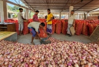 পেঁয়াজের দাম হঠাৎ যত হলো