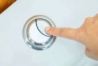 যে কারণে টয়লেটের ফ্ল্যাশে রয়েছে '২ বাটন'