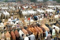 যে শর্ত কোরবানি কবুল হওয়ার 