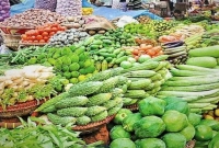 নতুন-পেঁয়াজ-ও-আলুর-দাম-কমেছে-মুরগি-ও-ডিমের-বাজার-আগের-মতোই