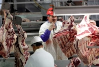 যুক্তরাষ্ট্রে বাংলাদেশিদের ভাগ্যে ঈদের দিনে জোটে না 'কোরবানির মাংস'