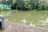 মা করছিলেন রান্না, পুকুরে ডুবে দুই বছরের সন্তান নিহত  মা করছিলেন রান্না, পুকুরে ডুবে দুই বছরের সন্তান নিহত