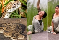 এবার কোন ইঙ্গিত করে এমন পোস্ট দিলেন পরীমণি?