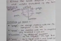 পরীক্ষার খাতায় এমন কী লিখল ছাত্র, অভিভাবককে দেখা করতে বলল শিক্ষক 